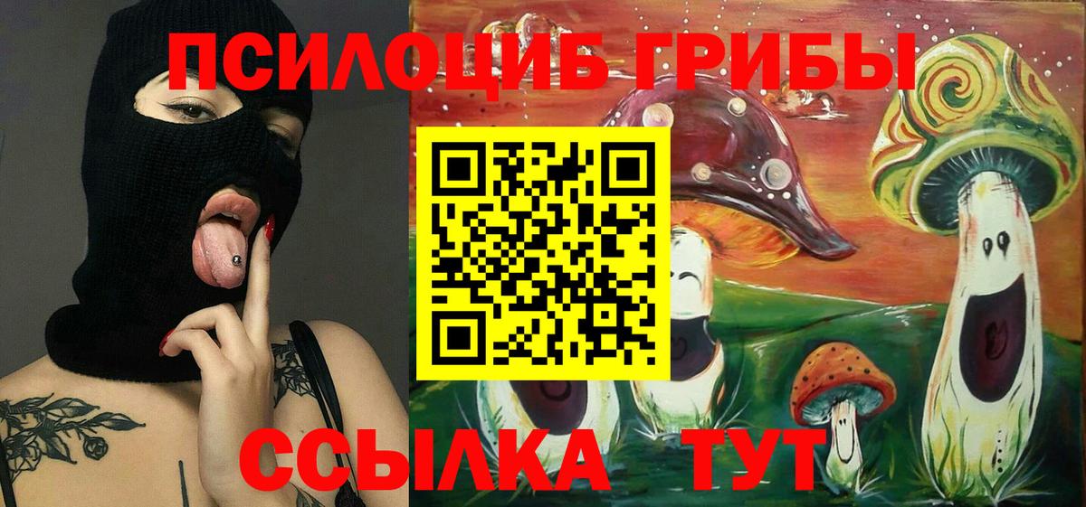 Псилоцибиновые грибы ЛСД  Вход с VPN  магазин    Новочебоксарск 